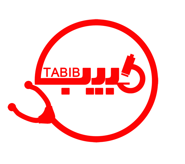 Logo–T